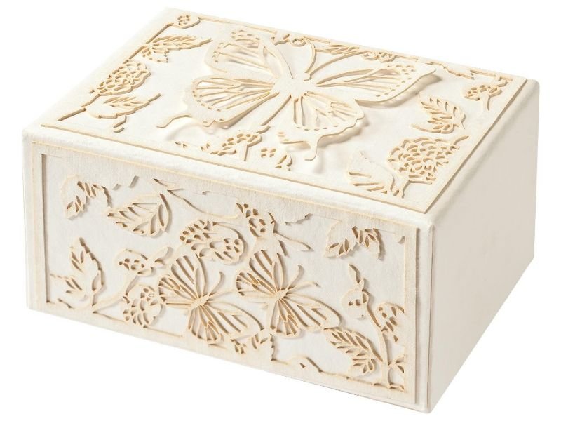 Butterfly Reflections